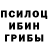 Галлюциногенные грибы мицелий Georgi Izotov