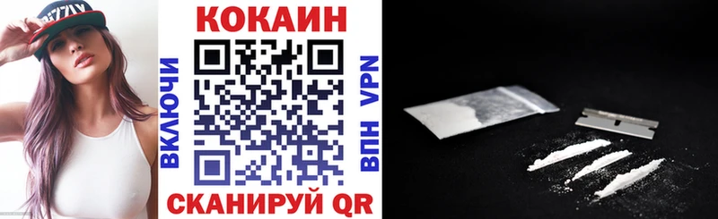 Cocaine FishScale  Купить закладки  Солигалич 