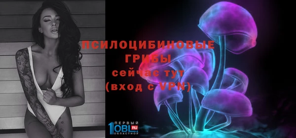 герыч Магас