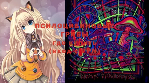 герыч Магас