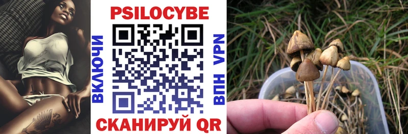 Галлюциногенные грибы прущие грибы  Купить  Солигалич 